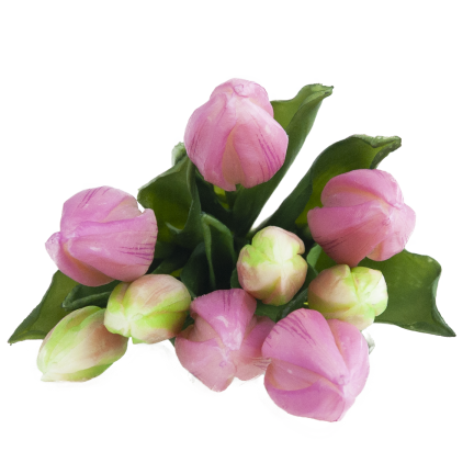 CV08289-3 TULIPAN GUMA 9