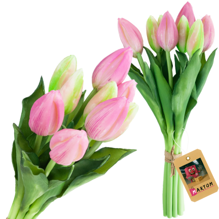 CV08289-3 TULIPAN GUMA 9