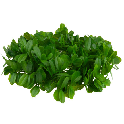 CV08595 TÜRGIRLANDE TISCHFEDER SCHILF DEKORATIVE BASIS FÜR SCHILFGIRLANDEN