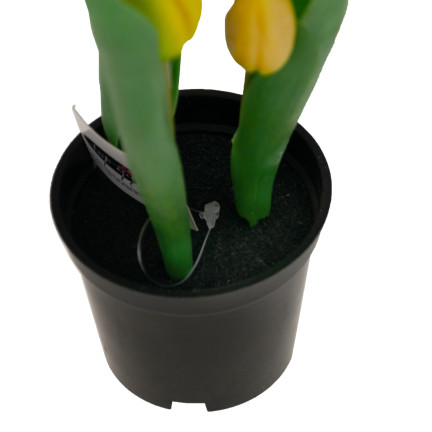 CV10553-3 GUMMIERTE TULPENBLÜTEN ALS LEBENDPRÄMIE