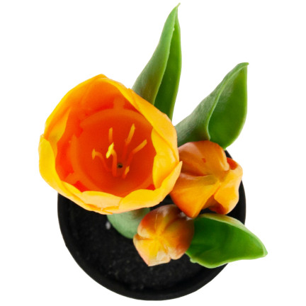 CV10553-4 TULPEN TULPEN GUMMIERTE BLUMEN ALS LIVE PREMIUM IM TOPF ORANGE