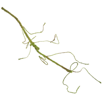 CV13601-2 DEKORATIVER ZWEIG DEKORATIVER ZWEIG FÜR VASE KÜNSTLICHE GRÜNE WURZEL