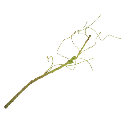 CV13601-2 DEKORATIVER ZWEIG DEKORATIVER ZWEIG FÜR VASE KÜNSTLICHE GRÜNE WURZEL