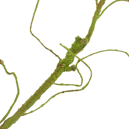 CV13601-2 DEKORATIVER ZWEIG DEKORATIVER ZWEIG FÜR VASE KÜNSTLICHE GRÜNE WURZEL