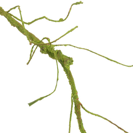 CV13601-2 DEKORATIVER ZWEIG DEKORATIVER ZWEIG FÜR VASE KÜNSTLICHE GRÜNE WURZEL