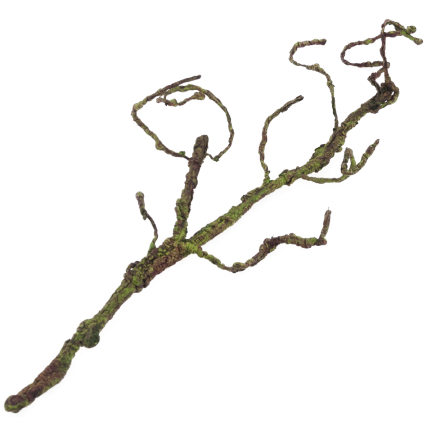CV13602-2 ZWEIG DEKORATIVE SCHAUMSTOFFWURZEL KÜNSTLICHE WURZEL FÜR VASE