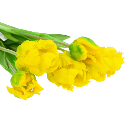 CV13899-3 TULIPS PAPULOPSY BUNCH UMĚLÉ KVĚTINY pogumované 5ks jako život
