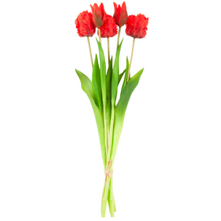 CV13899-8 PAPULIANS PAPULOPUS BUNCH KÜNSTLICHE BLUMEN gummiert 5 Stück wie lebende Blumen
