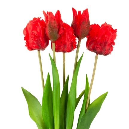 CV13899-8 PAPULIANS PAPULOPUS BUNCH KÜNSTLICHE BLUMEN gummiert 5 Stück wie lebende Blumen