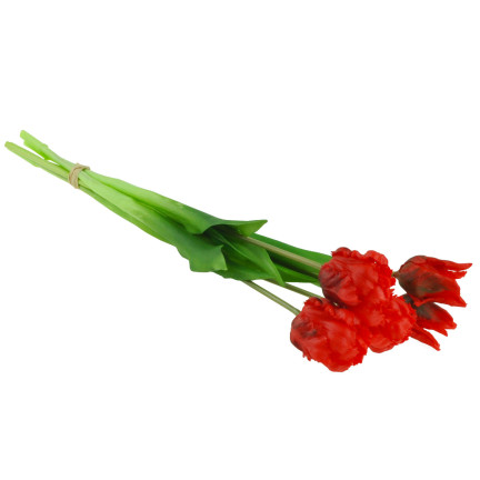 CV13899-8 PAPULIANS PAPULOPUS BUNCH KÜNSTLICHE BLUMEN gummiert 5 Stück wie lebende Blumen