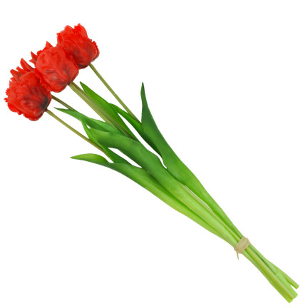 CV13899-8 PAPULIANS PAPULOPUS BUNCH KÜNSTLICHE BLUMEN gummiert 5 Stück wie lebende Blumen