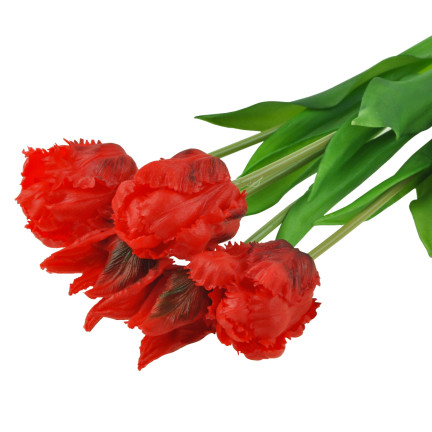 CV13899-8 PAPULIANS PAPULOPUS BUNCH KÜNSTLICHE BLUMEN gummiert 5 Stück wie lebende Blumen
