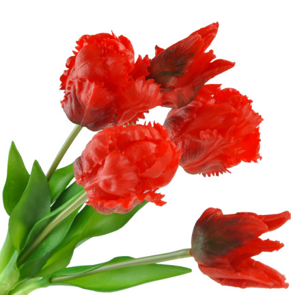 CV13899-8 PAPULIANS PAPULOPUS BUNCH KÜNSTLICHE BLUMEN gummiert 5 Stück wie lebende Blumen
