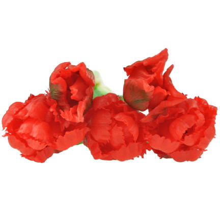 CV13899-8 PAPULIANS PAPULOPUS BUNCH KÜNSTLICHE BLUMEN gummiert 5 Stück wie lebende Blumen