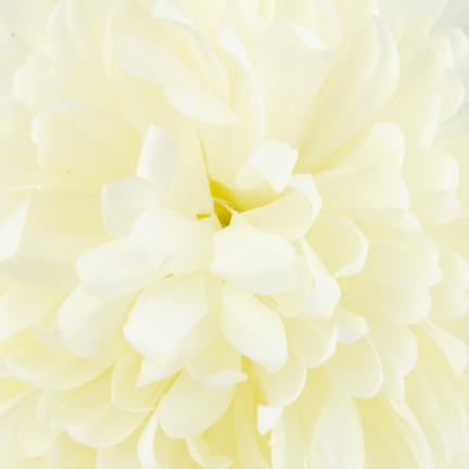 CV14384-2 CHRYSANTHEMUM EINZELNE DICHTE XXL KÜNSTLICHE BLUMEN