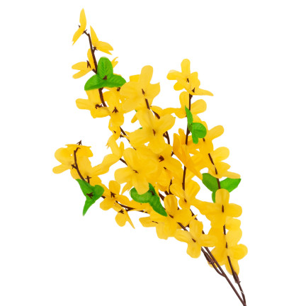 CV14393 YELLOW GASKLE FORSYCLE YELLOW GASKLE FORSYCLE ON GASKLE LEAF schilf