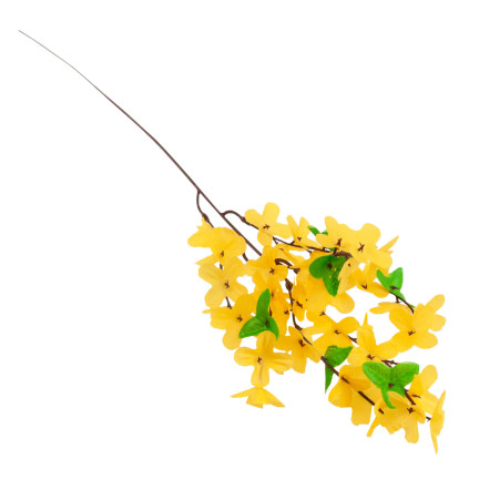 CV14393 YELLOW GASKLE FORSYCLE YELLOW GASKLE FORSYCLE ON GASKLE LEAF schilf