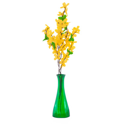 CV14393 YELLOW GASKLE FORSYCLE YELLOW GASKLE FORSYCLE ON GASKLE LEAF schilf
