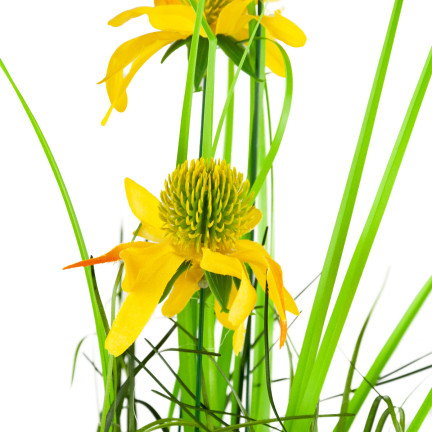 CV15393 KUNSTGRAS RUDBECKIA KAMILLE DEKORATIVES GRAS