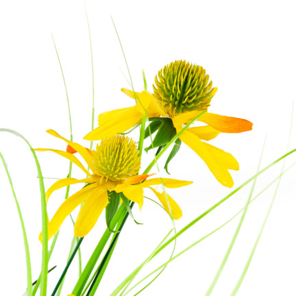CV15393 KUNSTGRAS RUDBECKIA KAMILLE DEKORATIVES GRAS