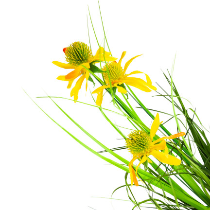CV15393 KUNSTGRAS RUDBECKIA KAMILLE DEKORATIVES GRAS