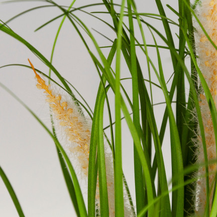 CV15459 Pampas grass in a pot—artificial decorative plant