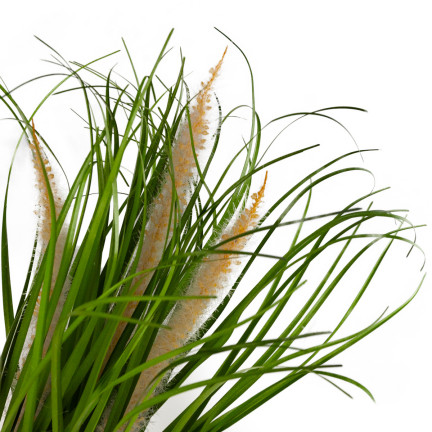 CV15459 Pampas grass in a pot—artificial decorative plant
