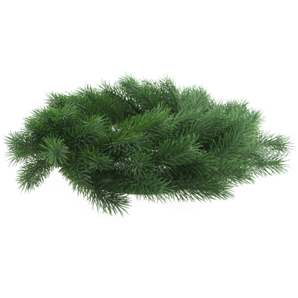 CV15747 ORNAMENTALE KÜNSTLICHE WEIHNACHTSBLUME Dickes Fichtenholz