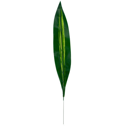 CV15772 DRACENA, DRACENA LEAF ZELENÉ OBRAZOVÉ KVĚTINY 60cm Rákosová šavle
