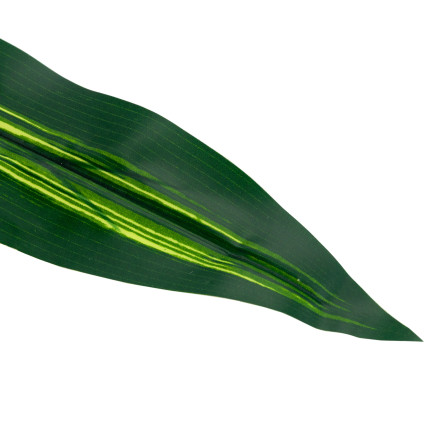 CV15772 DRACENA, DRACENA LEAF ZELENÉ OBRAZOVÉ KVĚTINY 60cm Rákosová šavle