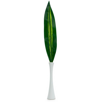 CV15772 DRACENA, DRACENA LEAF ZELENÉ OBRAZOVÉ KVĚTINY 60cm Rákosová šavle