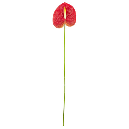 CV15803-5 GUMMI-ANTHURIUM ROT 60 CM KUNSTBLUMEN