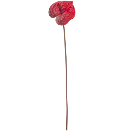 CV15803-5 GUMMI-ANTHURIUM ROT 60 CM KUNSTBLUMEN