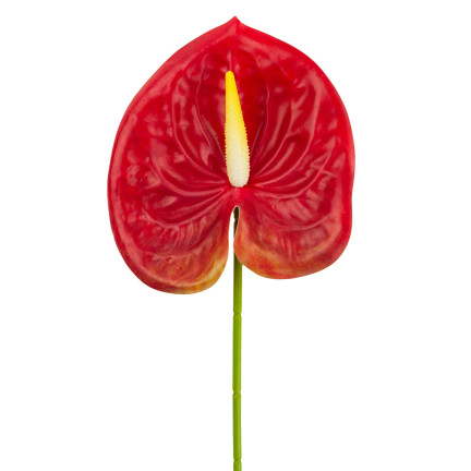 CV15803-5 GUMMI-ANTHURIUM ROT 60 CM KUNSTBLUMEN