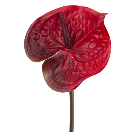 CV15803-5 GUMMI-ANTHURIUM ROT 60 CM KUNSTBLUMEN