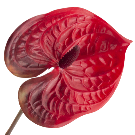 CV15803-5 GUMMI-ANTHURIUM ROT 60 CM KUNSTBLUMEN