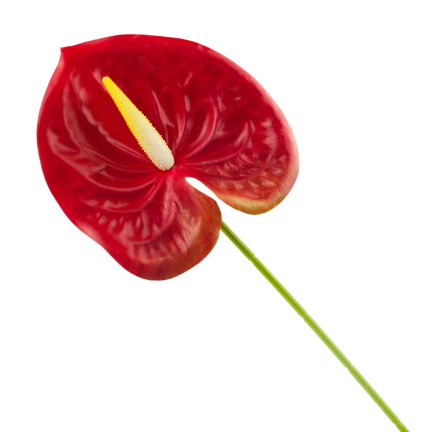 CV15803-5 GUMMI-ANTHURIUM ROT 60 CM KUNSTBLUMEN