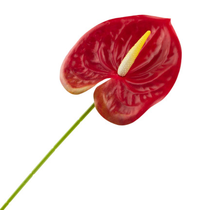 CV15803-5 GUMMI-ANTHURIUM ROT 60 CM KUNSTBLUMEN