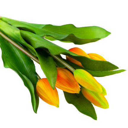 CV18674-8 TULIPS BUNCH Gummierter Gummi als lebendes Silikon ORANGE