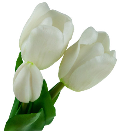 CV17690-2 LUX WEISS SILIKON GEKUPPELT TULIPS LIKE LIVE ones 3pcs