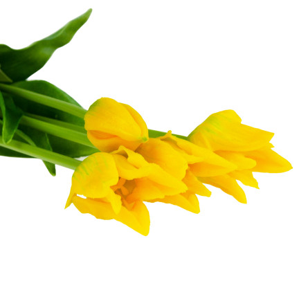 CV17691-3 KYTICE TULIPÁNŮ POGUMOVANÁ 5KS JAKO ŽIVÁ