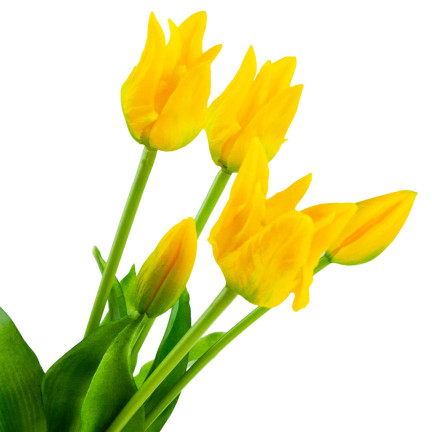 CV17691-3 KYTICE TULIPÁNŮ POGUMOVANÁ 5KS JAKO ŽIVÁ