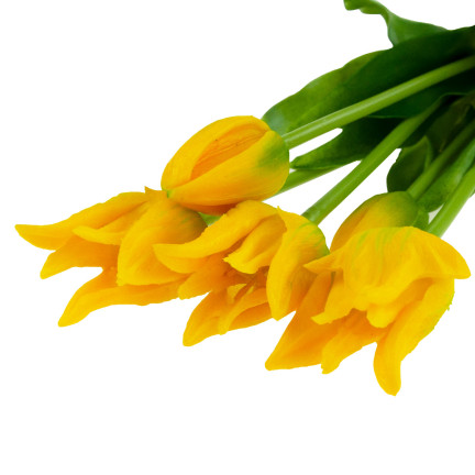 CV17691-3 KYTICE TULIPÁNŮ POGUMOVANÁ 5KS JAKO ŽIVÁ