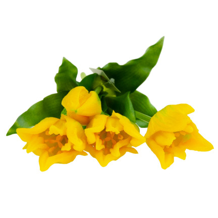 CV17691-3 KYTICE TULIPÁNŮ POGUMOVANÁ 5KS JAKO ŽIVÁ