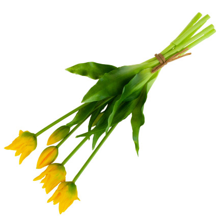 CV17691-3 KYTICE TULIPÁNŮ POGUMOVANÁ 5KS JAKO ŽIVÁ