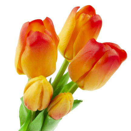 CV17692-4 TULPENSTRAUSS GUMMIERT GUMMIARTIG REALISTISCH ORANGE