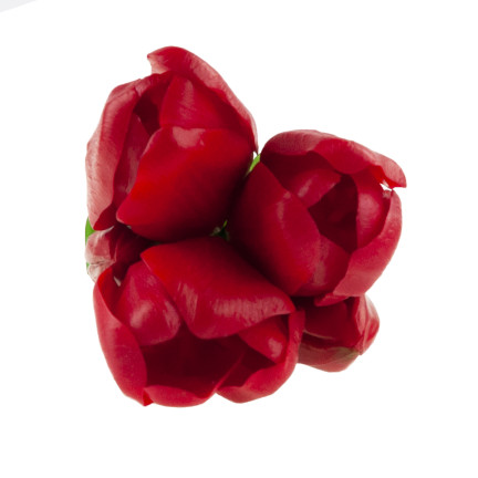 CV17692-7 TULPENSTRAUSS GUMMIERT GUMMIARTIG REALISTISCH ROT