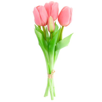 CV17692-8 TULIPAN GUMMED BUNCH X5 rosa