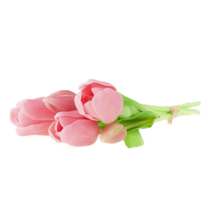 CV17692-8 TULIPAN GUMMED BUNCH X5 rosa