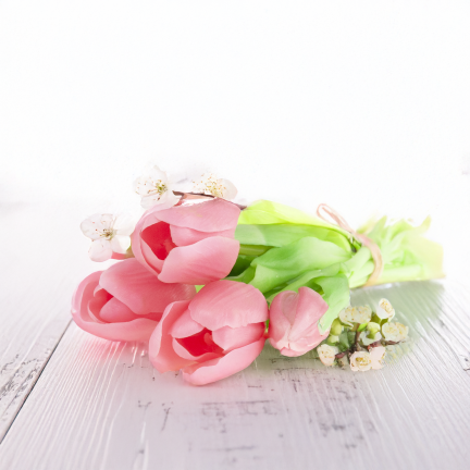 CV17692-8 TULIPAN GUMMED BUNCH X5 rosa